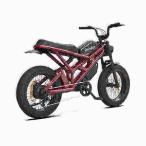 1000w electric bike dealer