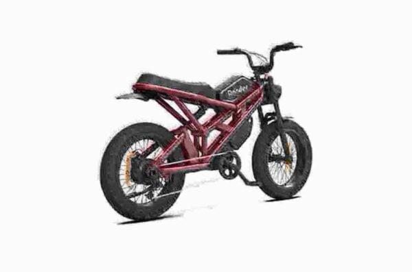 1000w electric bike dealer