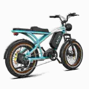 20 Inch Folding Electric Bike dealer