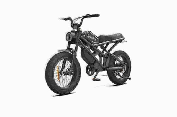 24 Fat Tire Ebike dealer