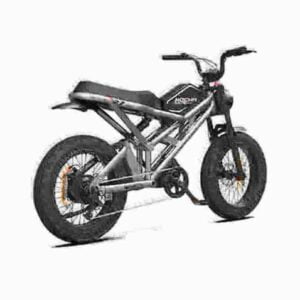 24 inch electric bike dealer