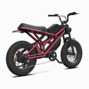 250w electric bike dealer