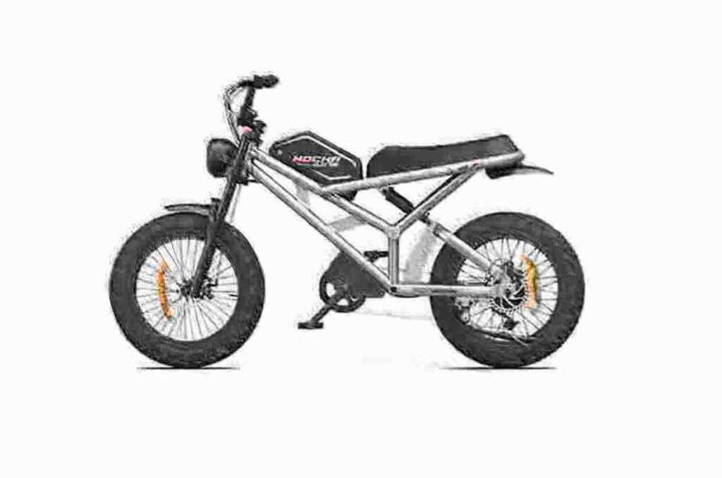 3 wheel electric bike dealer