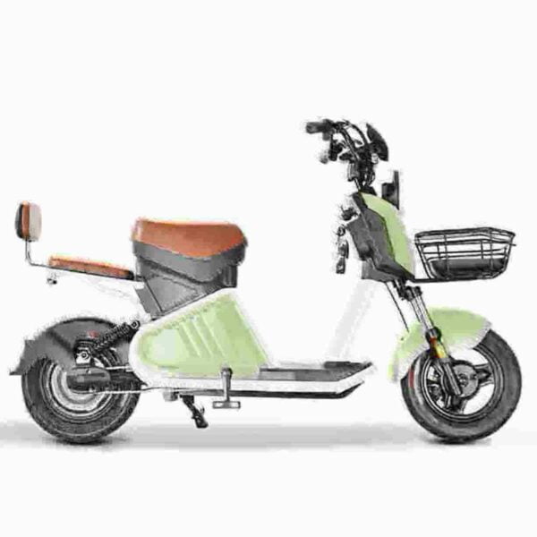 3000W Citycoco Scooter dealer