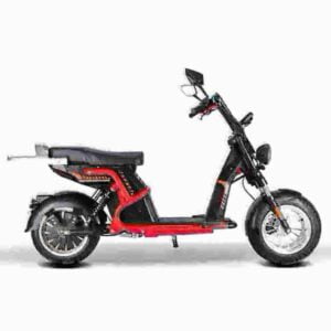 3000W Harley Citycoco dealer