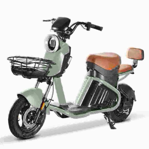 3000w Citycoco dealer