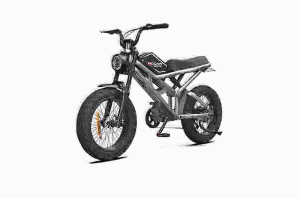 3000w ebike dealer