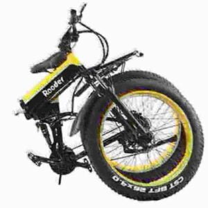 36v Electric Bike dealer