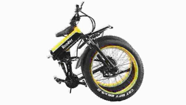 36v Electric Bike dealer
