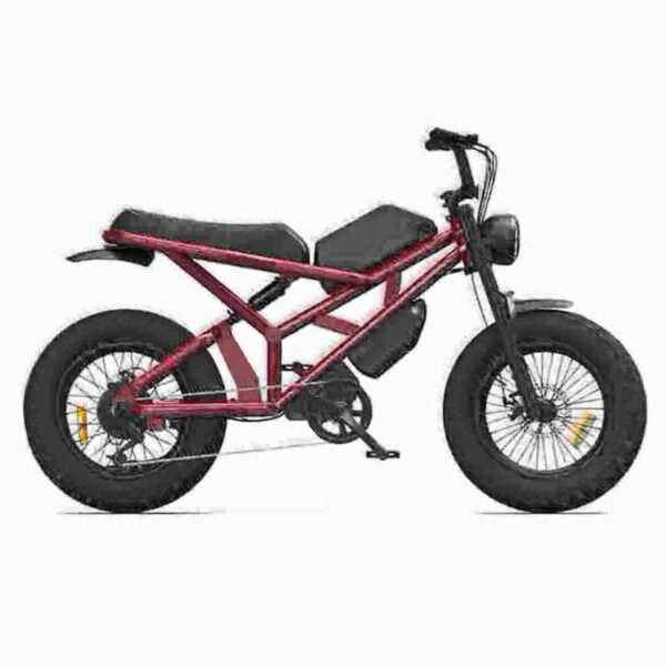40 mph electric bike for sale dealer