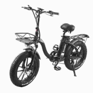 40 mph electric bike dealer