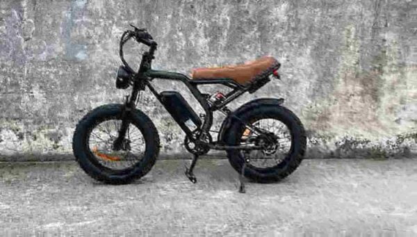 48v Fat Tire Electric Bike dealer