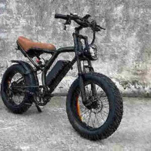 48v electric bike dealer