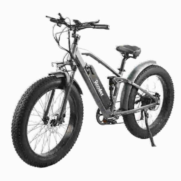 500 watt electric bike dealer