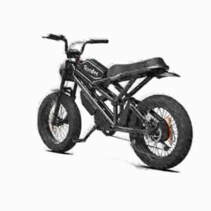 5000w ebike dealer