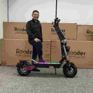 500w Folding Electric Scooter dealer