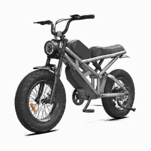 500w ebike dealer