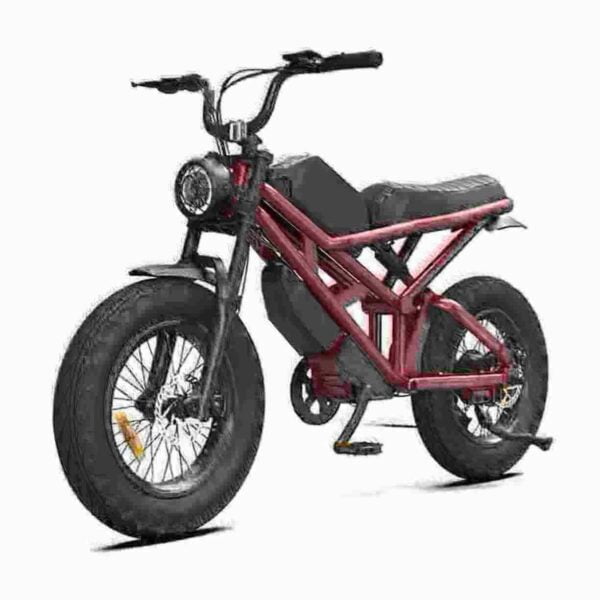 52v ebike dealer