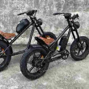 750 watt electric bike dealer