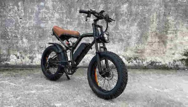 750 Watt Electric Fat Tire Bike dealer
