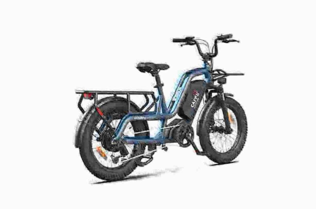 750w ebike dealer