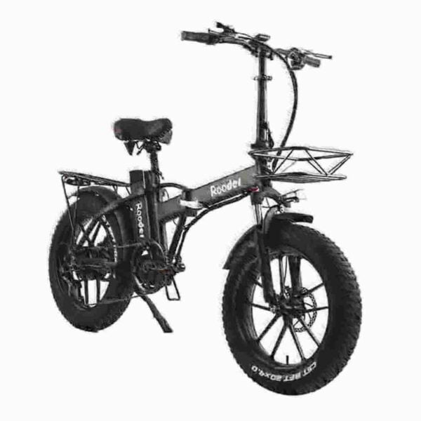 750w Fat Tire Ebike dealer