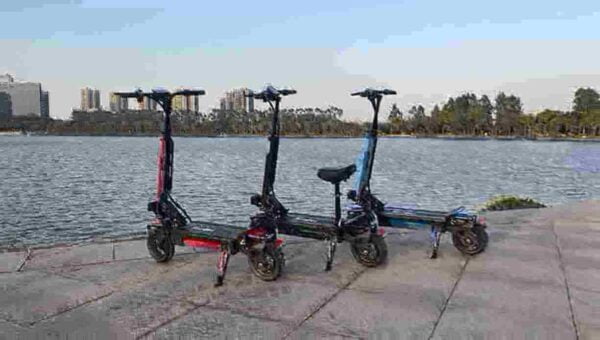 Adult Size Electric Scooter dealer