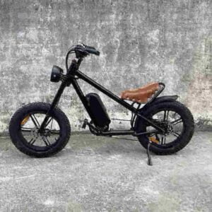 Affordable Fat Tire Electric Bike dealer