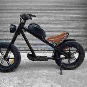 All Terrain Electric Fat Bike dealer