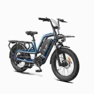 Battery Powered Fat Tire Bike dealer