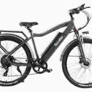 Best 20 Inch Folding Electric Bike dealer