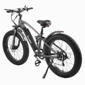 Best Budget Folding Electric Bike dealer