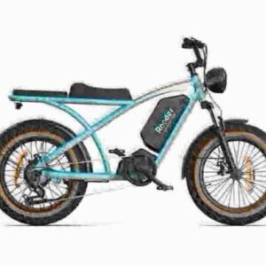 best fat tire electric bike dealer