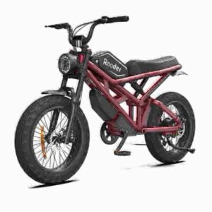 Best Fat Tires For Ebikes dealer