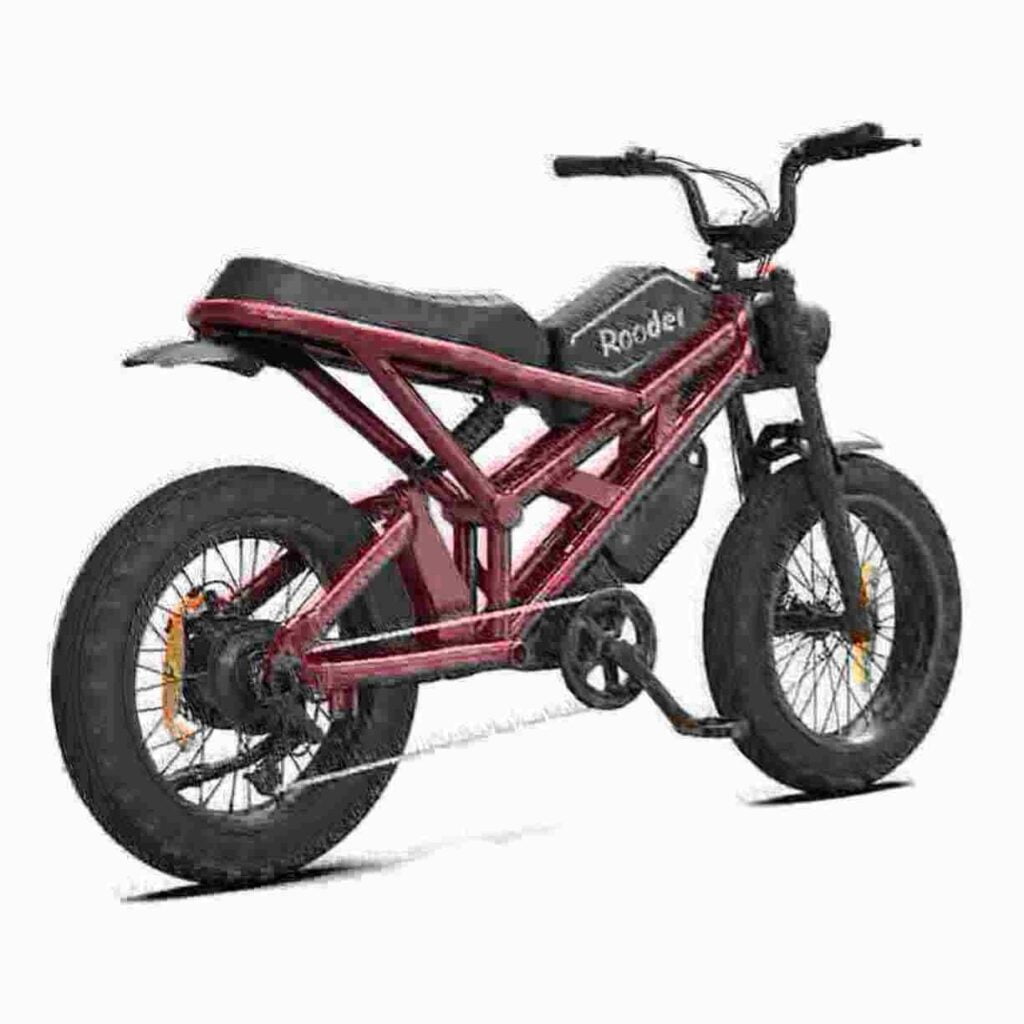 Best Fat Tyre Electric Bike dealer