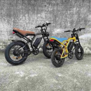 best lightweight electric bike dealer