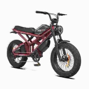 Best Long Range Folding Electric Bike dealer