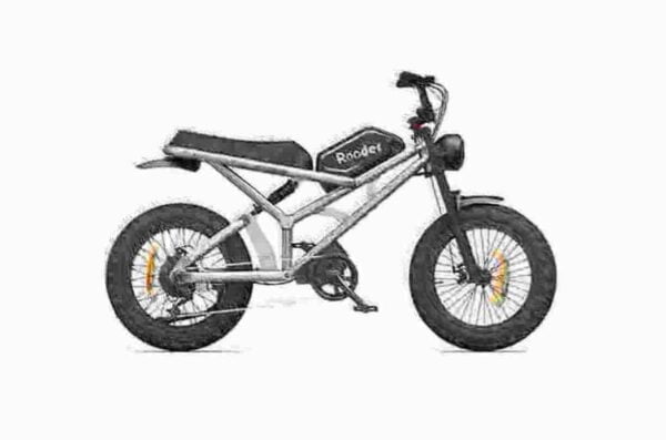 Best Price Folding Electric Bikes dealer