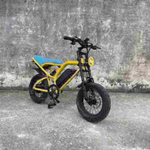 Best Value Fat Tire Electric Bike dealer