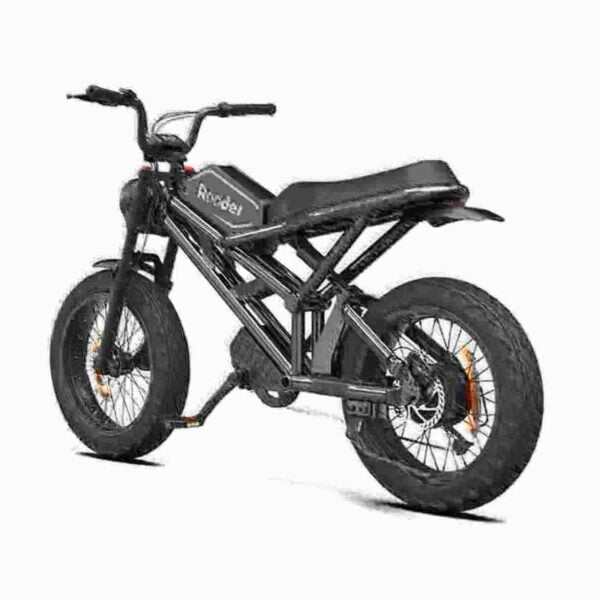 Budget Electric Bike dealer