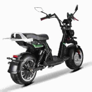 Chopper Citycoco 3000w dealer
