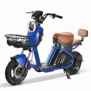 Citycoco Electric Bike dealer