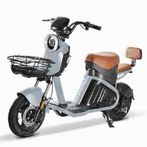 Citycoco Electric Scooter 2000w dealer