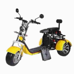 Citycoco Electric Scooter 3000w dealer