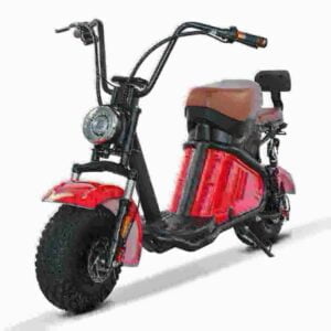 Citycoco Fat Tire Electric Scooter dealer