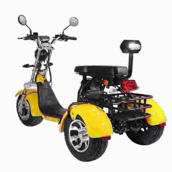 Citycoco Golf Scooter dealer