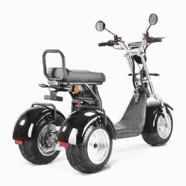 Citycoco Trike 3000w dealer