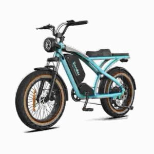 Collapsible Electric Bike dealer