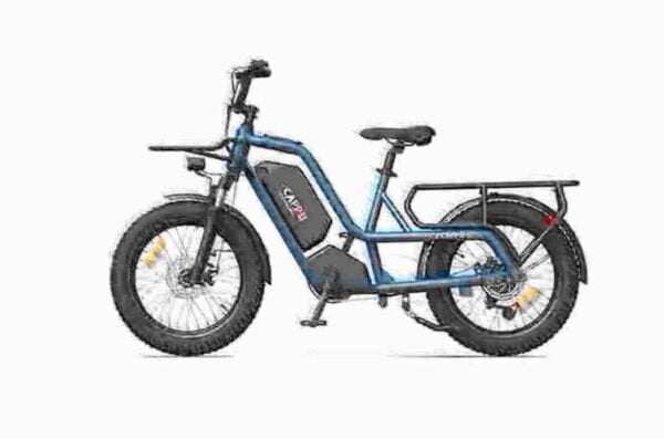 Compact Folding Electric Bike dealer