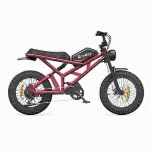 Custom E Bikes dealer